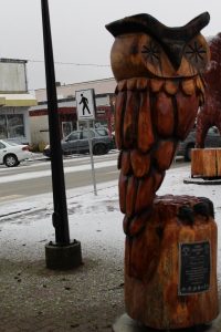 Wood Owl in Hope