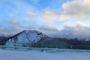 IMG_8461 - Kopie (2)